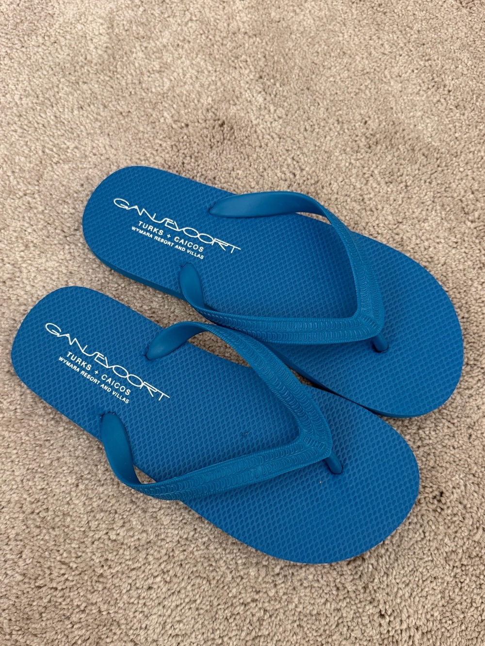 NWOT Women’s Gansevoort Flip Flops “Turks + Caicos” | blue